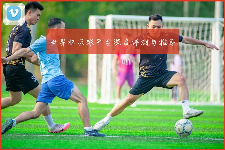 世界杯买球平台深度评测与推荐
